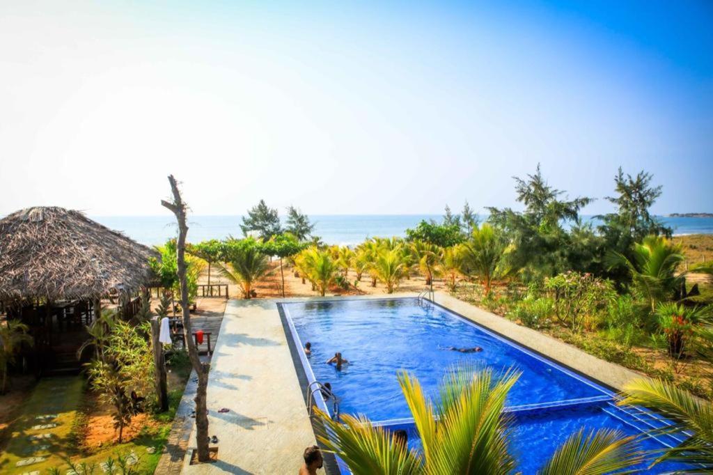 Whisky Point Surf Cabana Arugam Bay Exterior photo